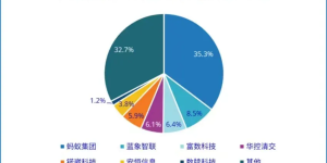 蓝象智联增速领跑第一阵营，稳居头部